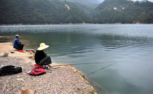 钢城区台子水库能钓鱼吗