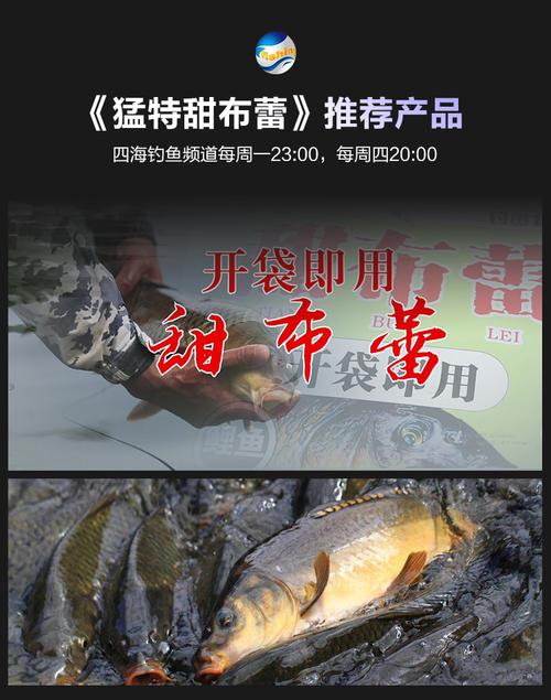 垂钓中心用什么鱼饵好呢