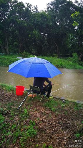 雨中垂钓视频教程